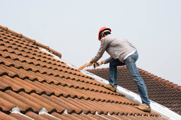 Roof Insulation in Stonegate, CO